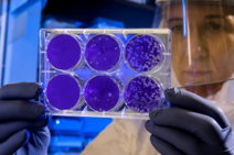 woman-holding-laboratory-appratus.jpg woman holding laboratory appratus