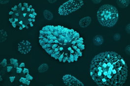 a-group-of-blue-and-green-cells-on-a-black-surface.jpg a group of blue and green cells on a black surface